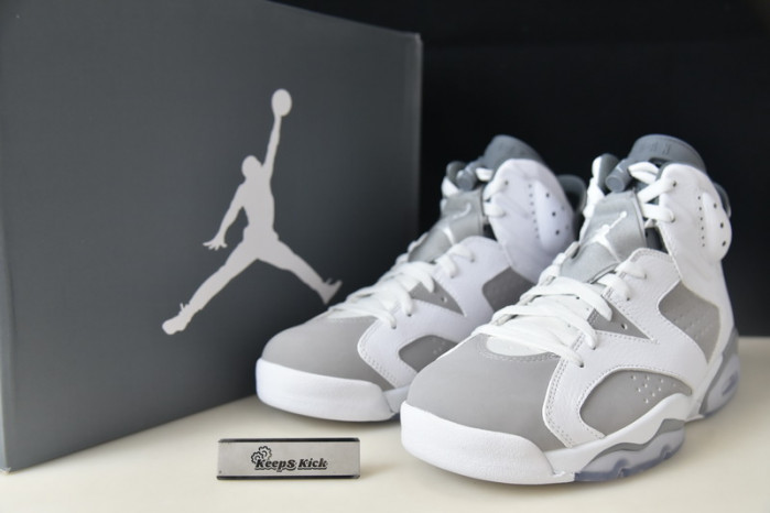 air jordan 6 "cool grey" ct8529-100